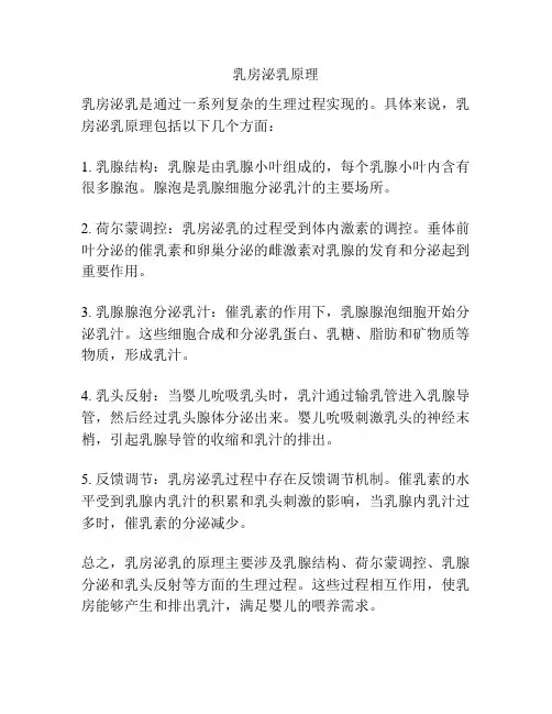 乳房泌乳原理