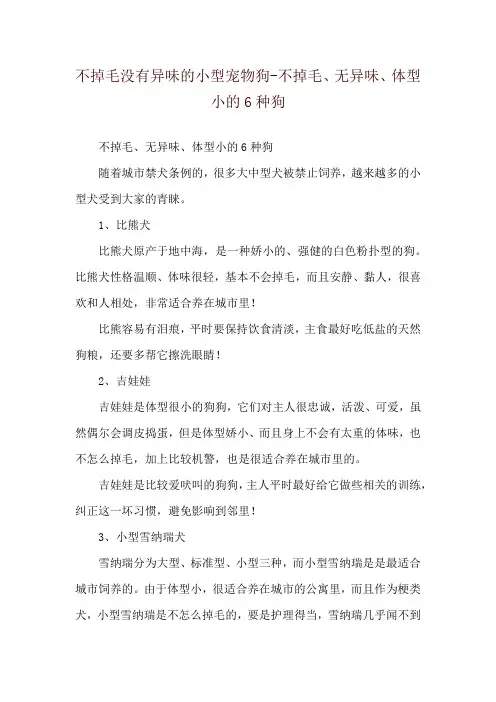 不掉毛没有异味的小型宠物狗-不掉毛、无异味、体型小的6种狗