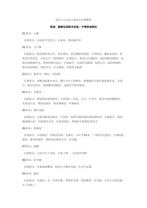 树木识别