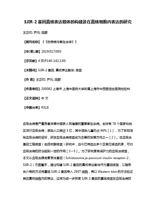 SJIR-2基因真核表达载体的构建及在真核细胞内表达的研究