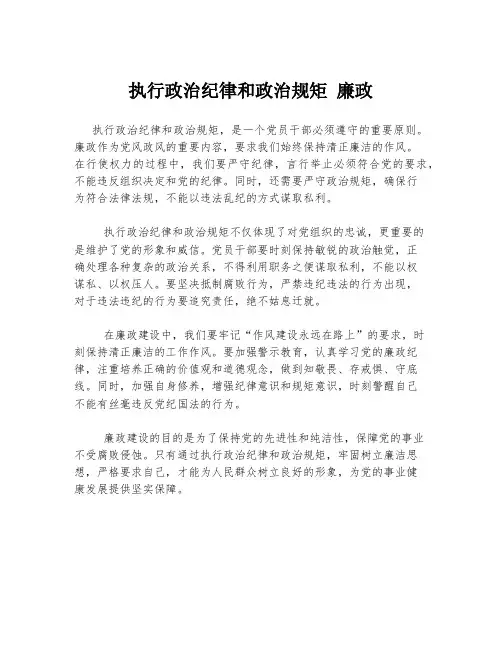 执行政治纪律和政治规矩 廉政