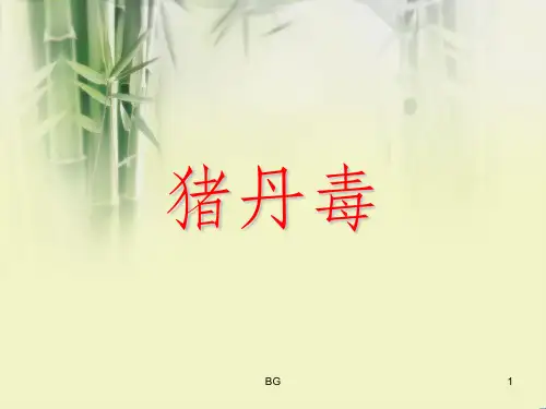 猪丹毒