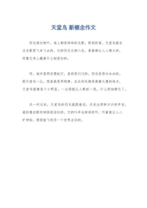 天堂鸟 新概念作文