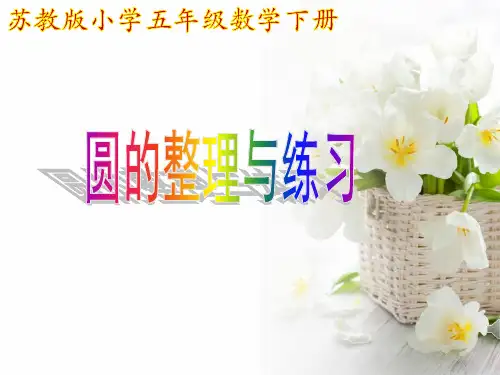 五年级下册数学课件 -《圆的整理与练习》 苏教版 (共20张PPT)