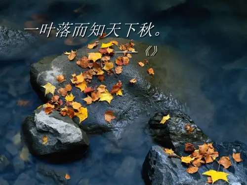 【新版】14.1故都的秋教学PPT教学课件高中语文统编版(2019)必修上册