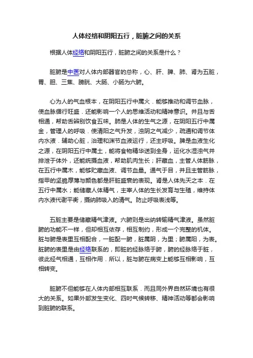 人体经络和阴阳五行，脏腑之间的关系