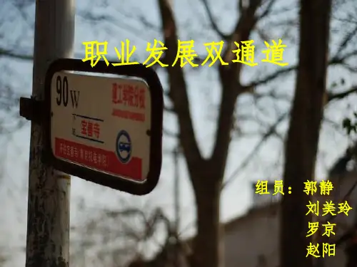职业发展双通道ppt课件