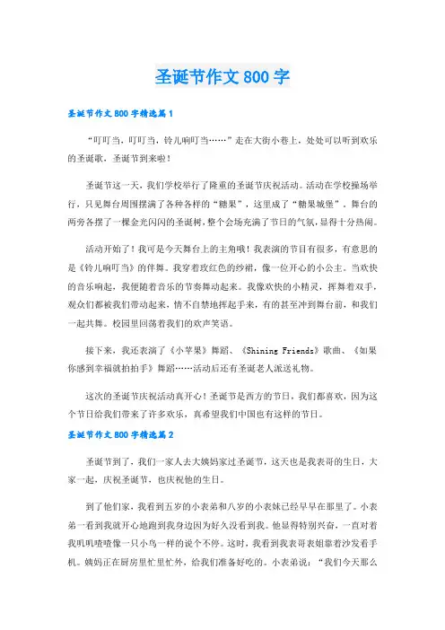 圣诞节作文800字.doc