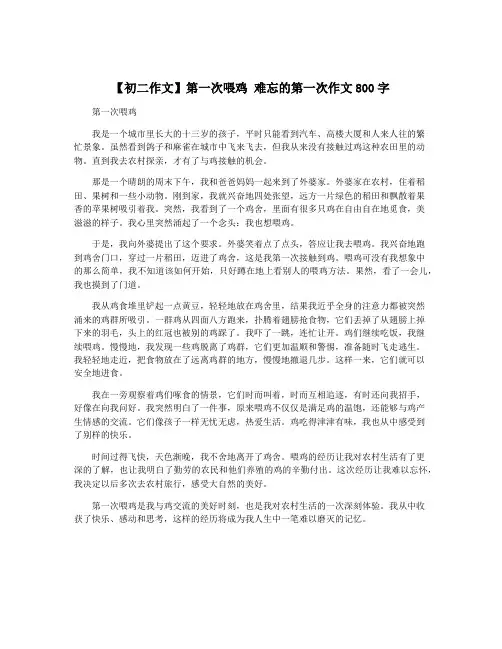 【初二作文】第一次喂鸡 难忘的第一次作文800字