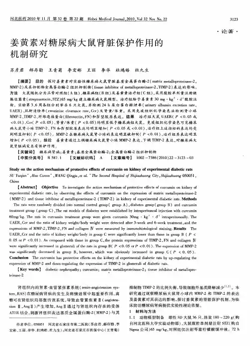 姜黄素对糖尿病大鼠肾脏保护作用的机制研究
