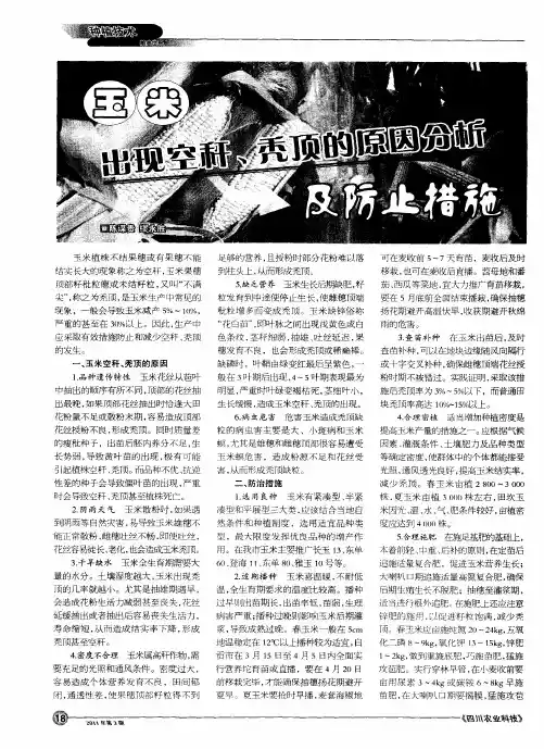 玉米出现空秆、秃顶的原因分析及防治措施