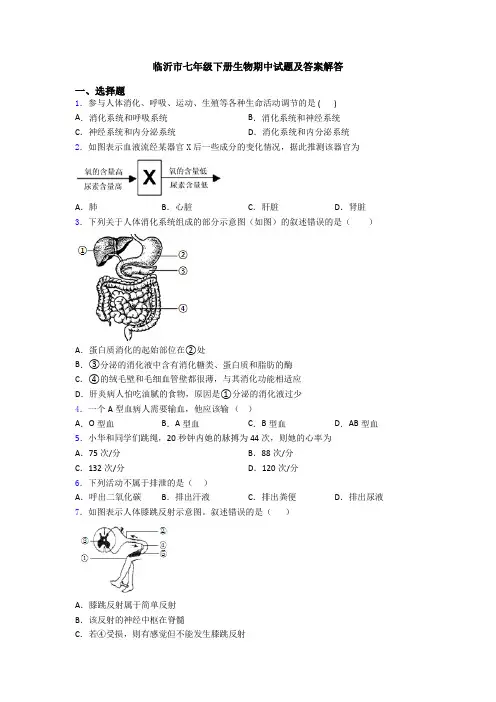 临沂市七年级下册生物期中试题及答案解答