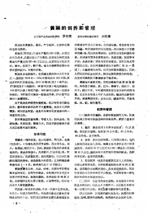 黄鼬的饲养和管理