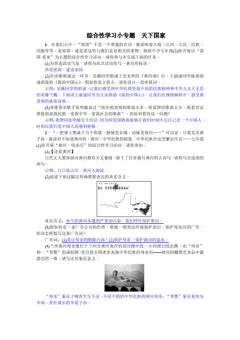 七年级语文下册《综合性学习小专题 天下国家》  含答案