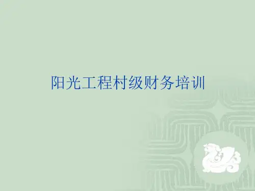 村级财务管理
