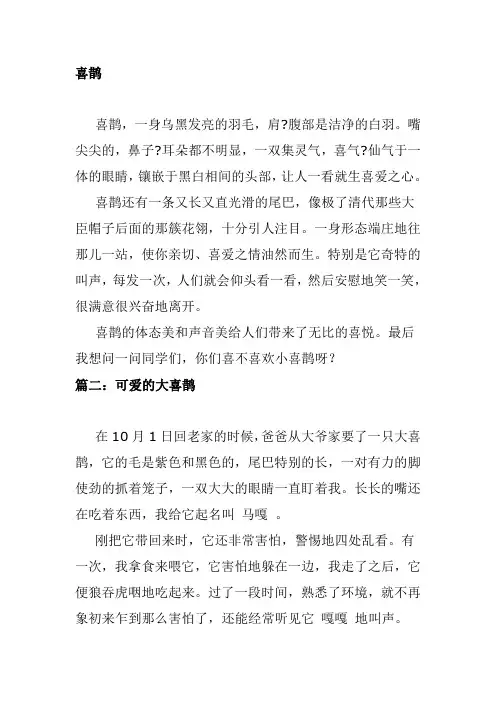 描写喜鹊的作文400字