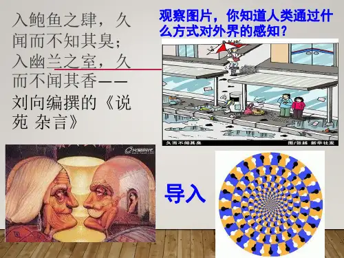 人教版七年级生物下册4.6.1人体对外界环境的感知——眼和视觉(第一课时)课件 (共29张PPT)