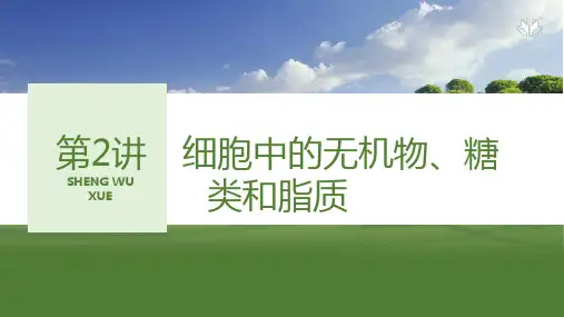2024届高三生物一轮复习课件第2讲 细胞中的无机物、糖类和脂质