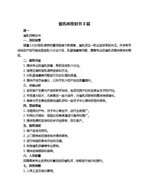 催乳师策划书3篇