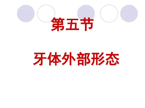 口解第二章(第五节)牙体外部形态