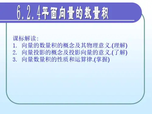 6.2.4平面向量的数量积(1) 2019版新教材