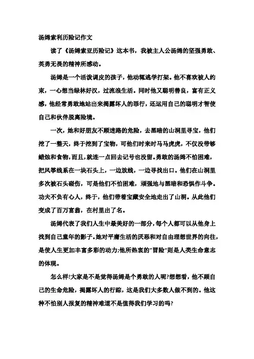 汤姆索利历险记作文