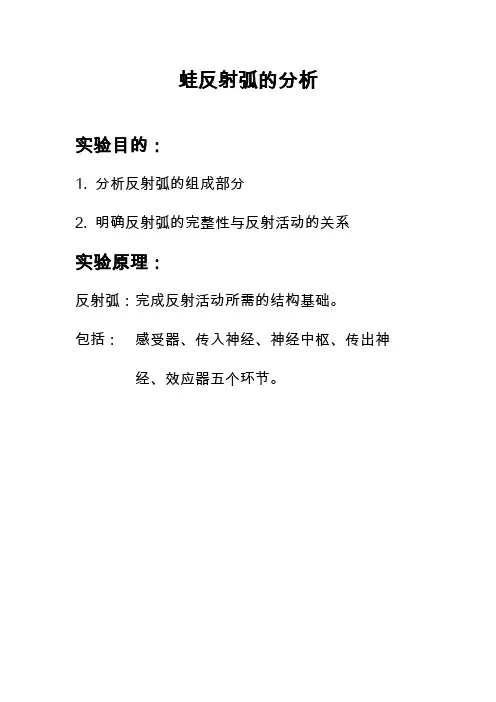 蛙反射弧分析