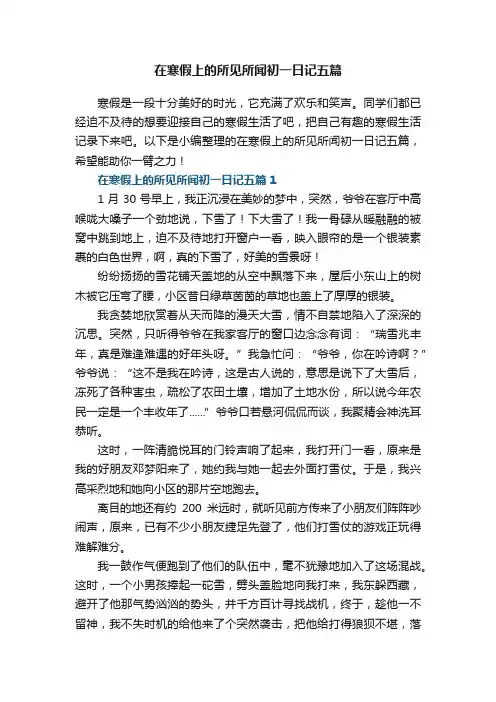 在寒假上的所见所闻初一日记五篇