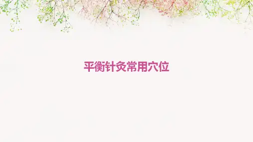 《平衡针灸常用穴位》课件