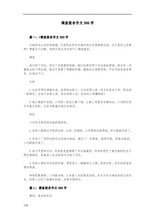 调查报告作文500字