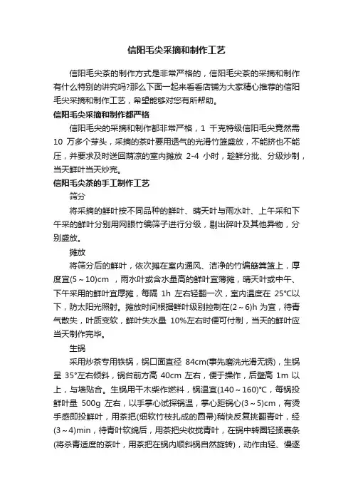 信阳毛尖采摘和制作工艺