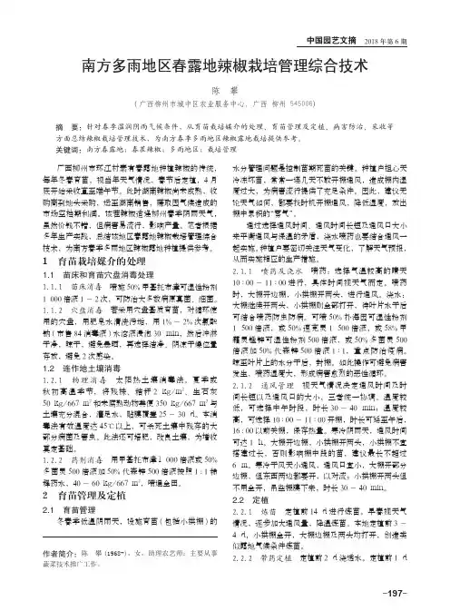 南方多雨地区春露地辣椒栽培管理综合技术