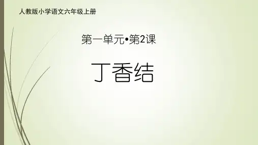 人教版语文六年级上册第2课《丁香结》第1,2课时精品课件