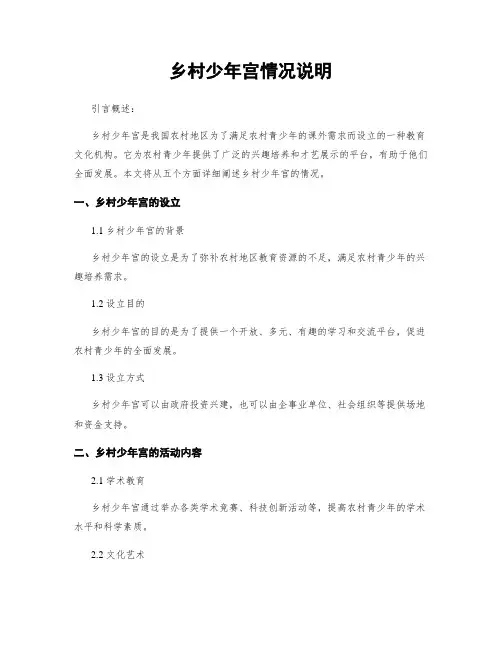 乡村少年宫情况说明