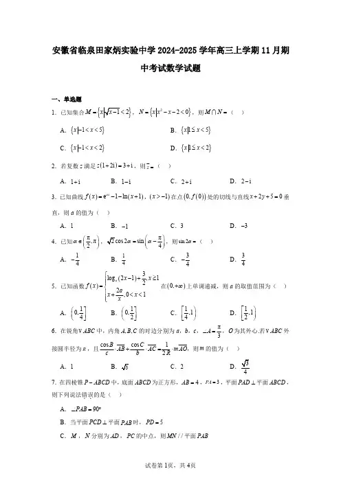 安徽省临泉田家炳实验中学2024-2025学年高三上学期11月期中考试数学试题