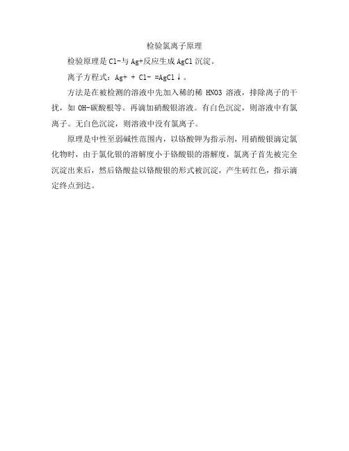 检验氯离子原理