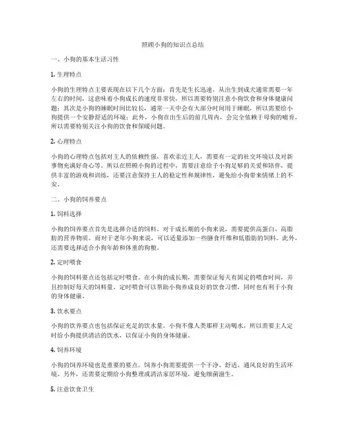 照顾小狗的知识点总结