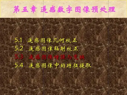 遥感图像处理基础ppt课件