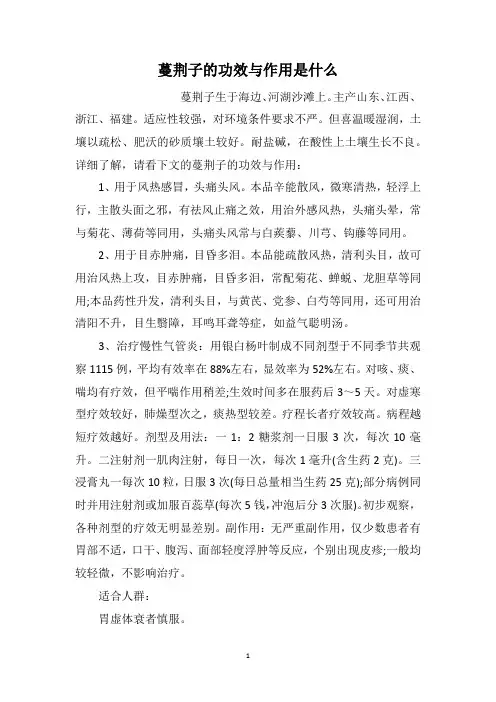 蔓荆子的功效与作用是什么