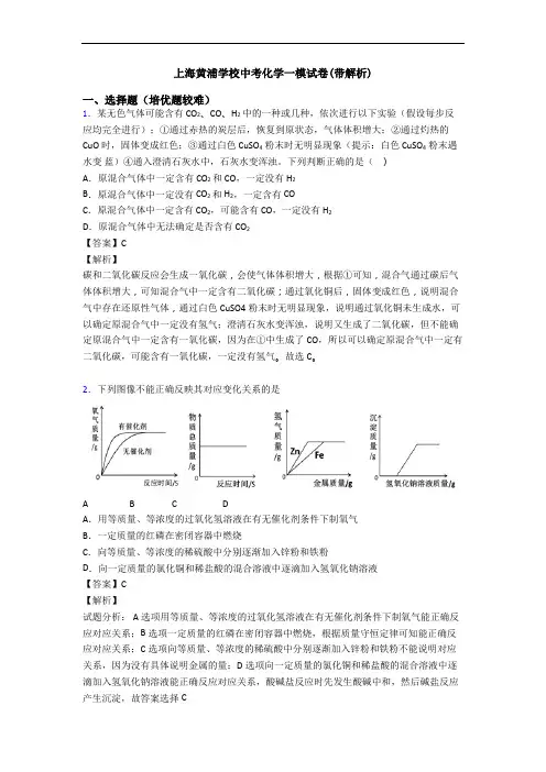 上海黄浦学校中考化学一模试卷(带解析)