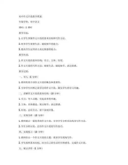 初中作文片段教学教案