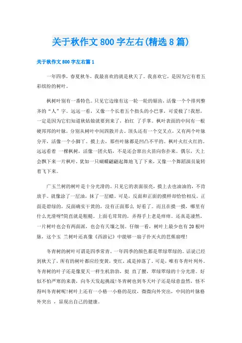 关于秋作文800字左右(精选8篇)