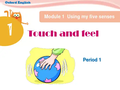 四年级下册英语课件-Unit 1《Touch and feel》(Period 1)｜牛津上海版(深圳用) (共18张PPT)