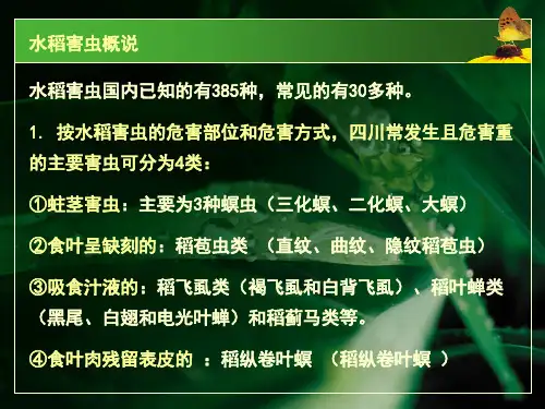 水稻害虫