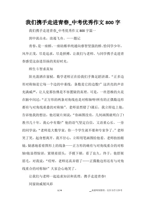 我们携手走进青春_中考优秀作文800字