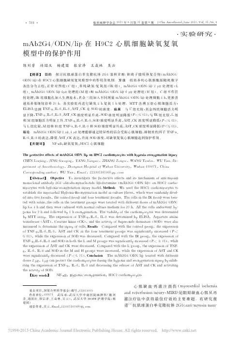 mAb2G4_ODN_lip在H9C2心肌细胞缺氧复氧模型中的保护作用