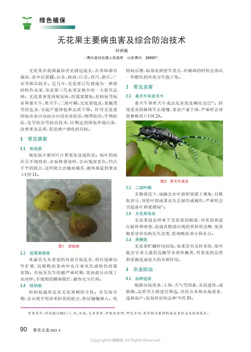 无花果主要病虫害及综合防治技术