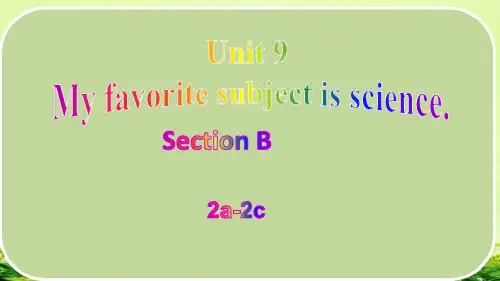 Unit 9 第5课时 Section B(2a-2e)七年级英语上册(人教版)