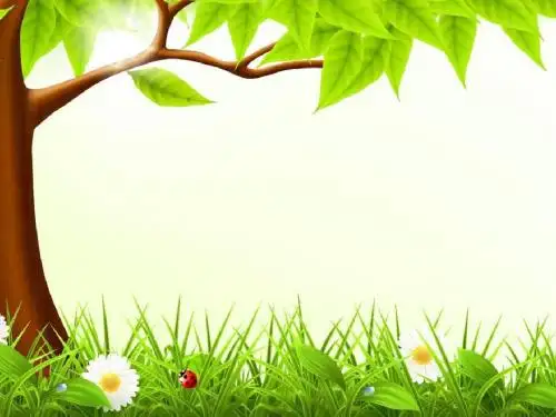 人教版七年级上册生物第一单元第二章第2节生物与环境组成生态系统(共33页) (共33张PPT)
