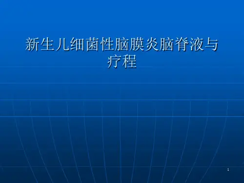 细菌性脑炎PPT课件